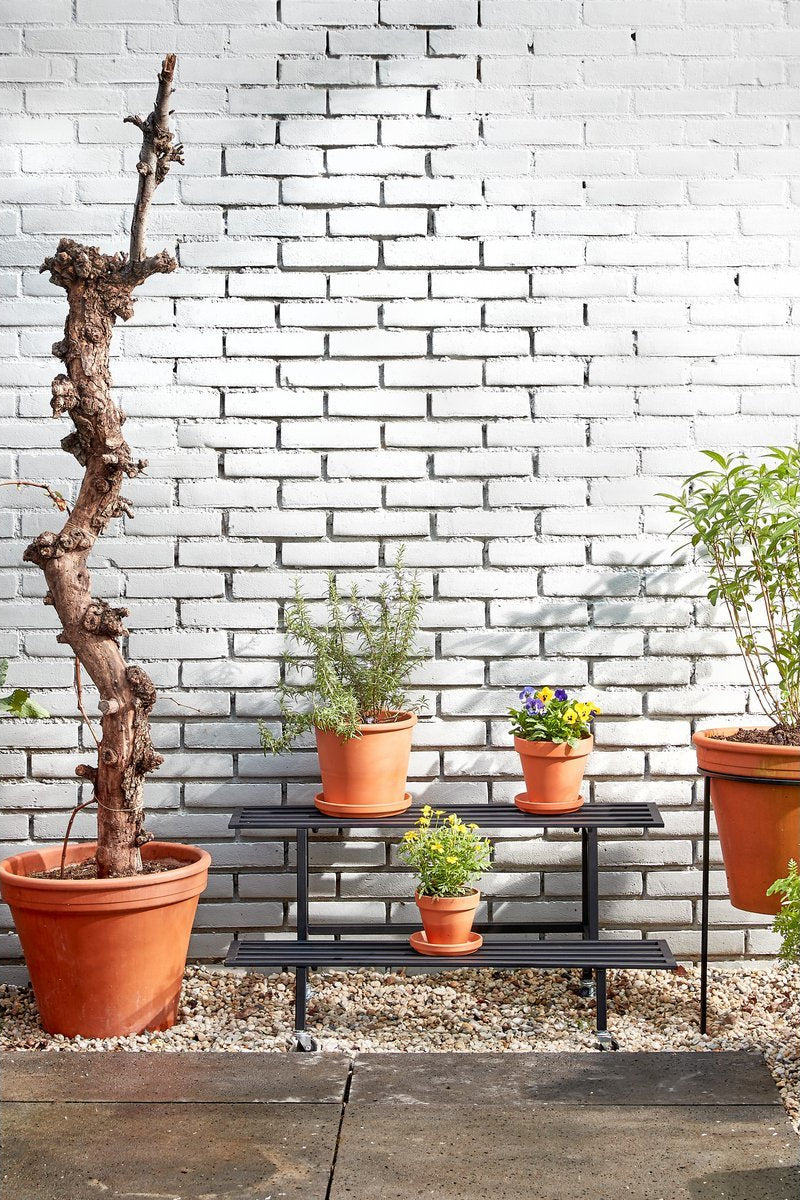 Greenrax Plantentafel op Wieltjes