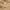 Alivo tafelkleed bruin wit gestreept katoen – Mica Decorations