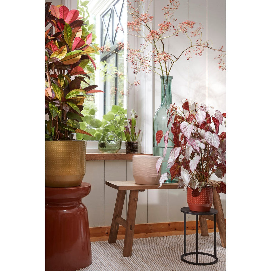 Bold Houten Bankje - Bruin - 80 x 37 x 44 cm