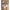 Duko Serveerplank - 100% FSC Mangohout - Bruin