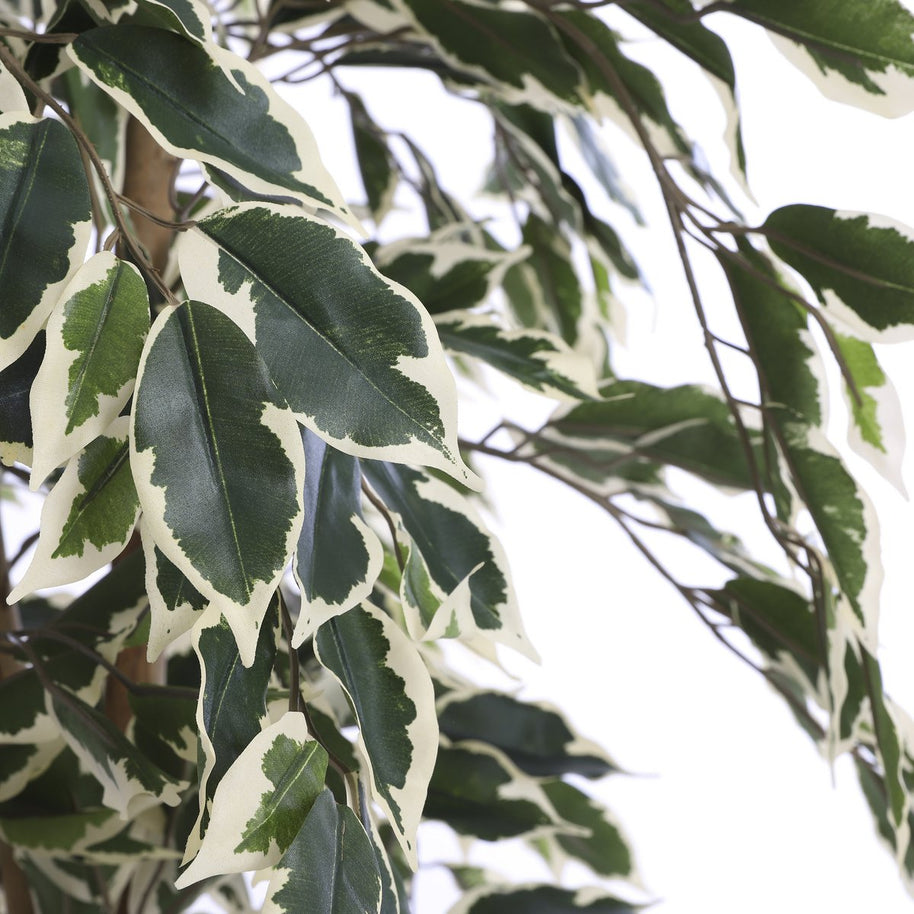 Ficus Kunstplant Groen Bont - H110 x Ø70 cm 