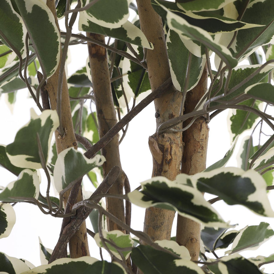 Ficus Kunstplant Groen Bont - H110 x Ø70 cm 