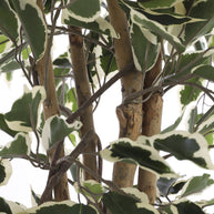 Ficus Kunstplant Groen Bont - H110 x Ø70 cm 