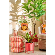 Funny Bloempot - L20 x B20 x H22 cm - Dolomiet - Oranje