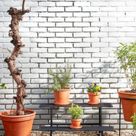 Greenrax Plantentafel op Wieltjes