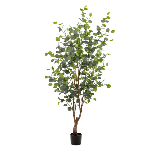 Kunstplant - Eucalyptus - Blauwe Gomboom  - 140 cm