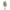 Kunstplant - Eucalyptus - Blauwe Gomboom  - 180 cm