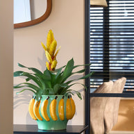 Moza Bananen Bloempot - Keramiek - Lichtgroen