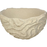 Schaal Koraal – Polyresin – Zand (36 × 35,5 × 21,3 cm)