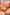 Sinaasappel Sierkussen - L65 x B45 x H10 cm - Katoen - Off-White, Oranje, Roze